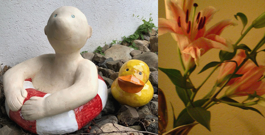 Monika Sch&ouml;nfelder-Jung